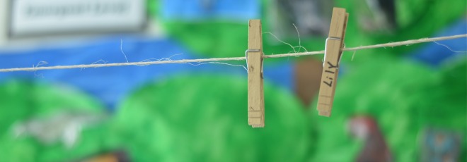 TPNS clothes pins crop